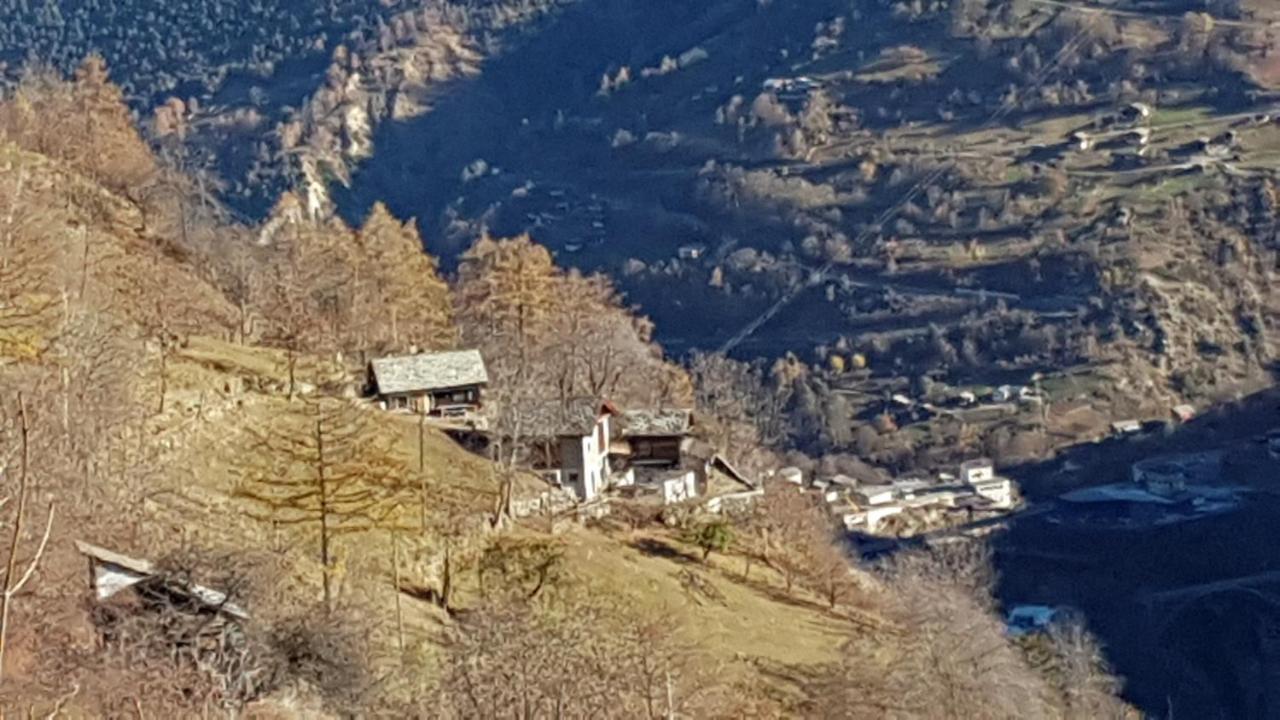 Chalet La Paz With Hotpot And Sauna Villa Törbel Dış mekan fotoğraf