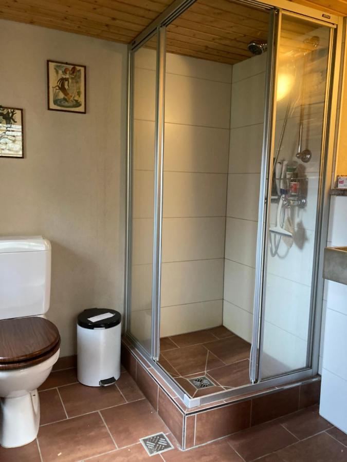 Chalet La Paz With Hotpot And Sauna Villa Törbel Dış mekan fotoğraf