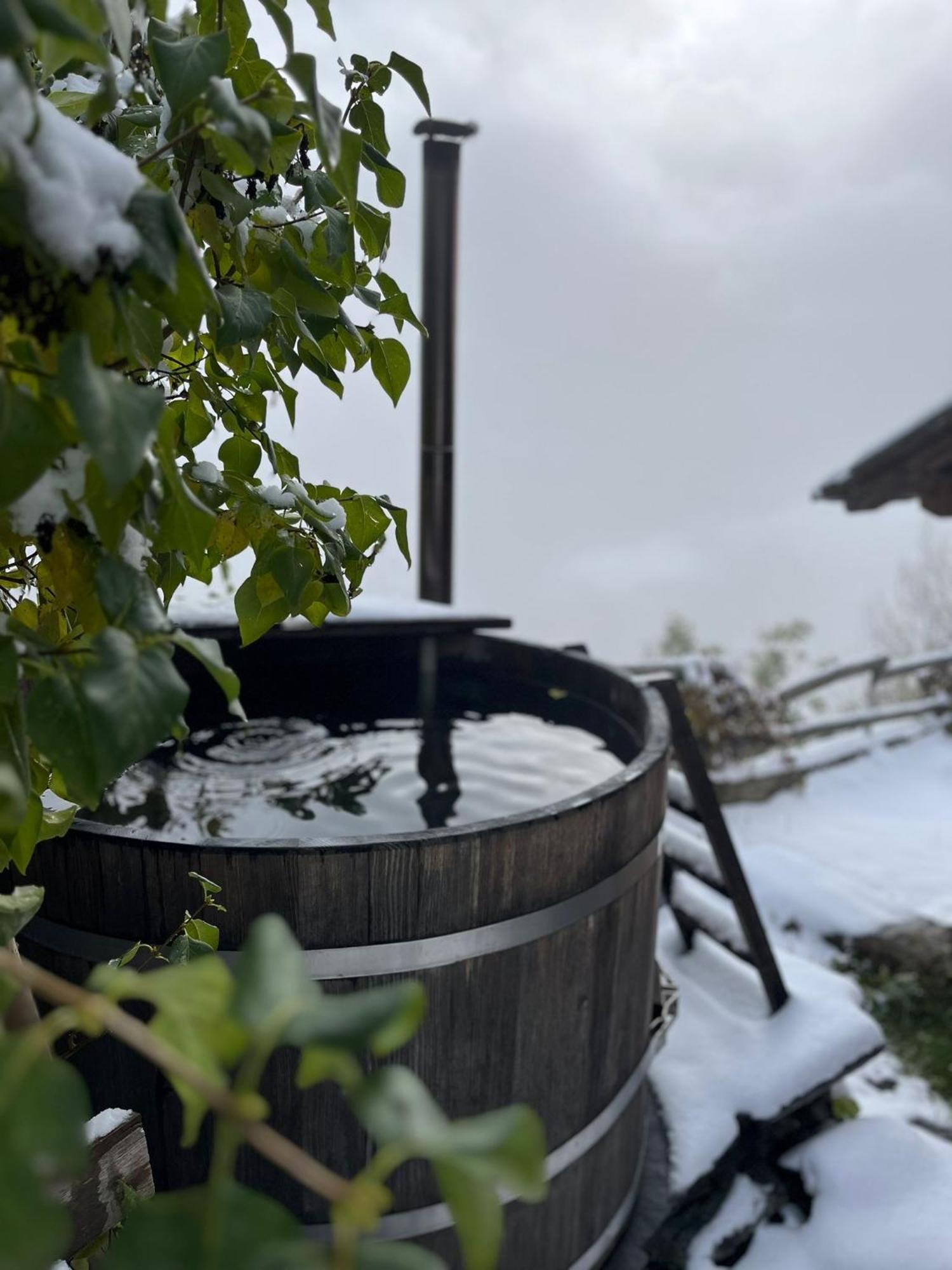 Chalet La Paz With Hotpot And Sauna Villa Törbel Dış mekan fotoğraf
