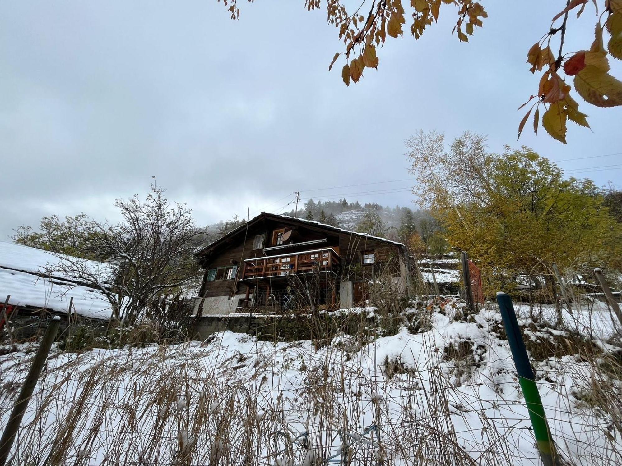 Chalet La Paz With Hotpot And Sauna Villa Törbel Dış mekan fotoğraf