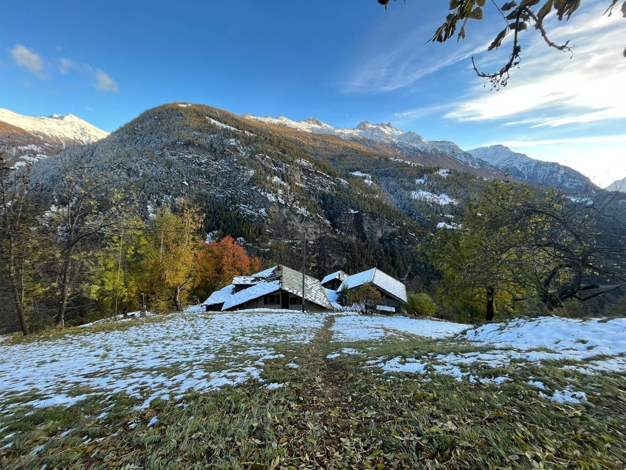 Chalet La Paz With Hotpot And Sauna Villa Törbel Dış mekan fotoğraf